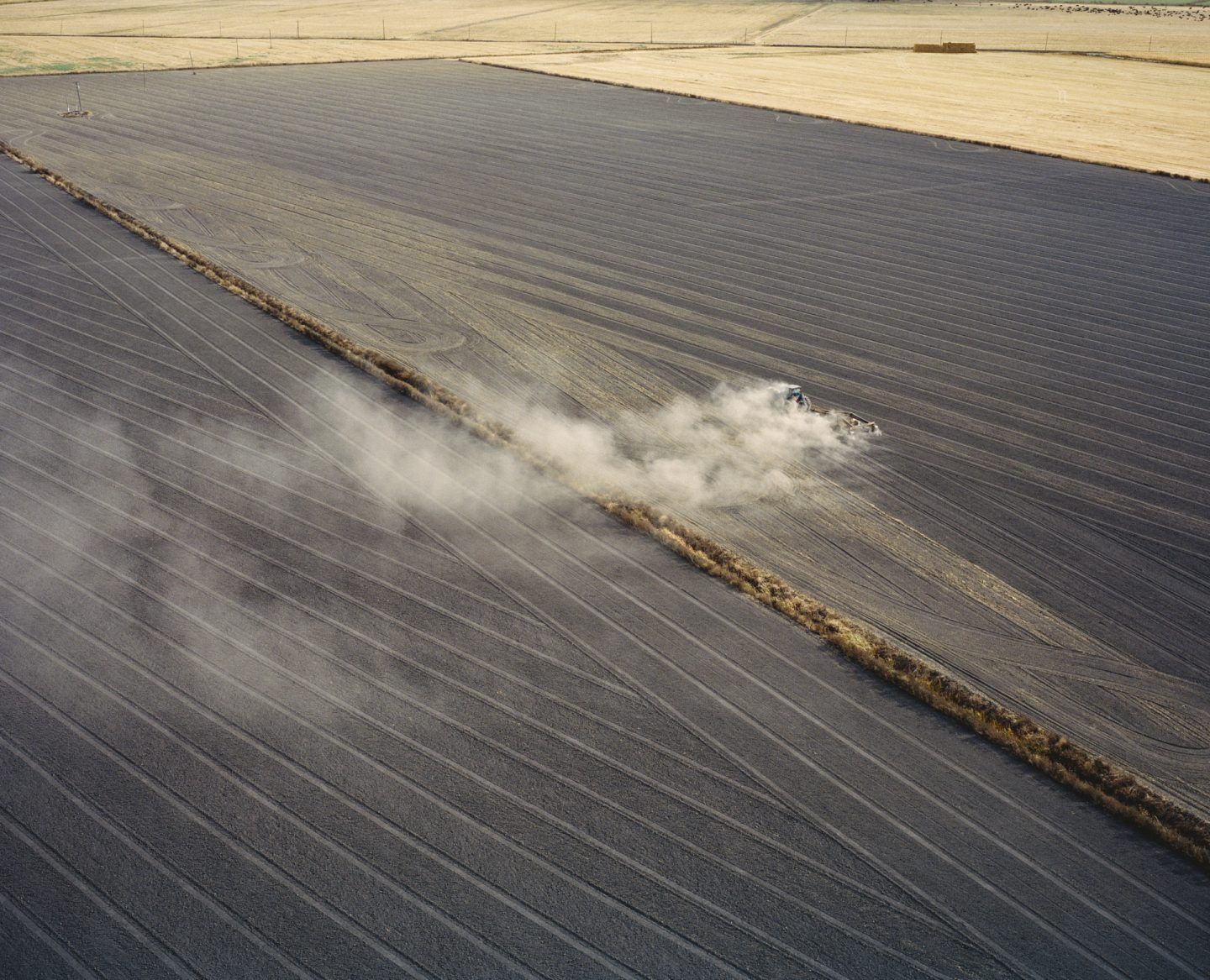 Agriculture fields near San Joaquin River near Antioch, California, USA, 2015.