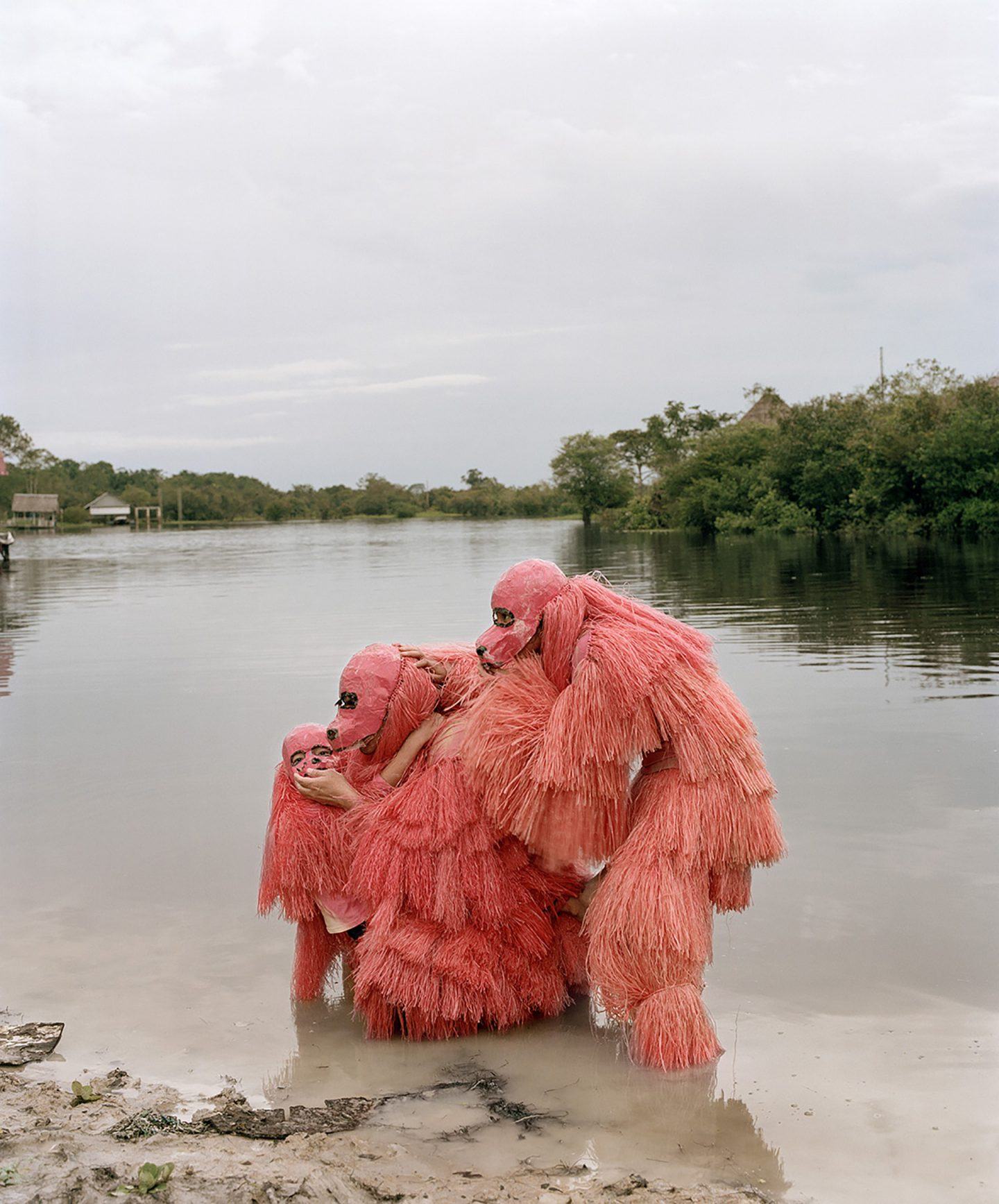 The Dance of the Bald Uakaris