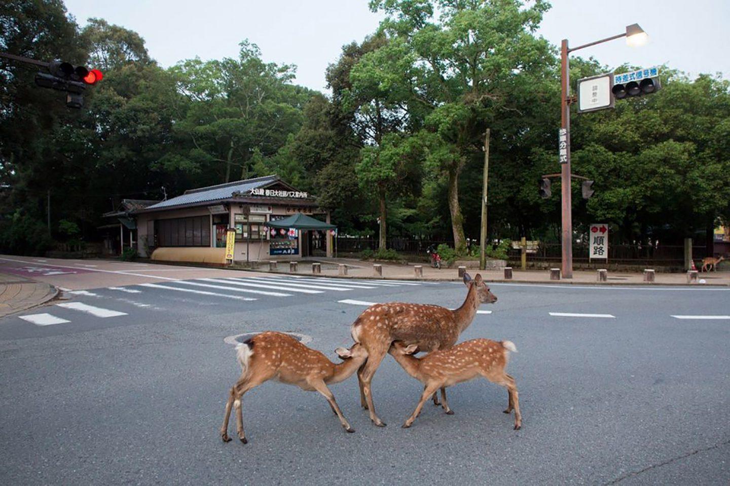 IGNANT-Photography-Yoko-Ishii-Beyond-The-Border-18