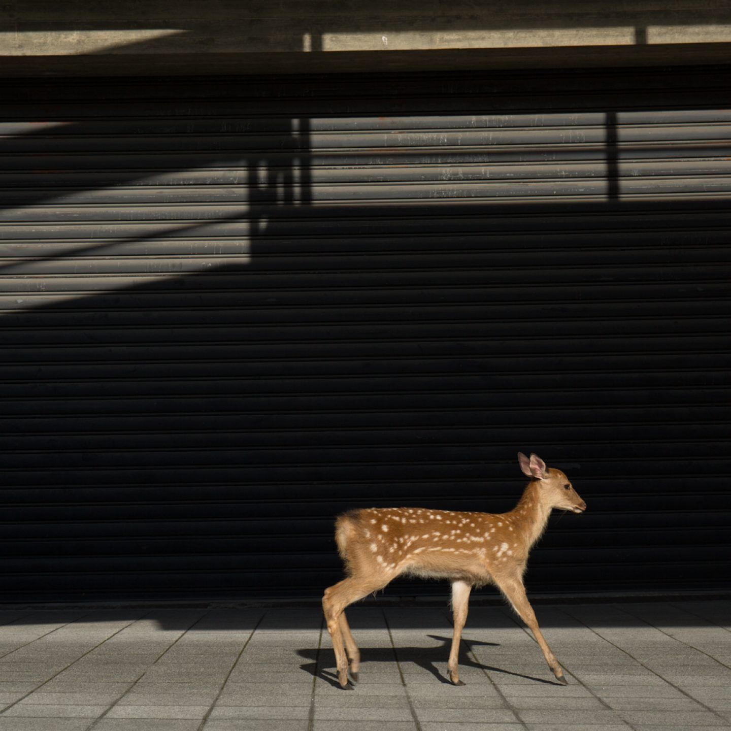 IGNANT-Photography-Yoko-Ishii-Beyond-The-Border17