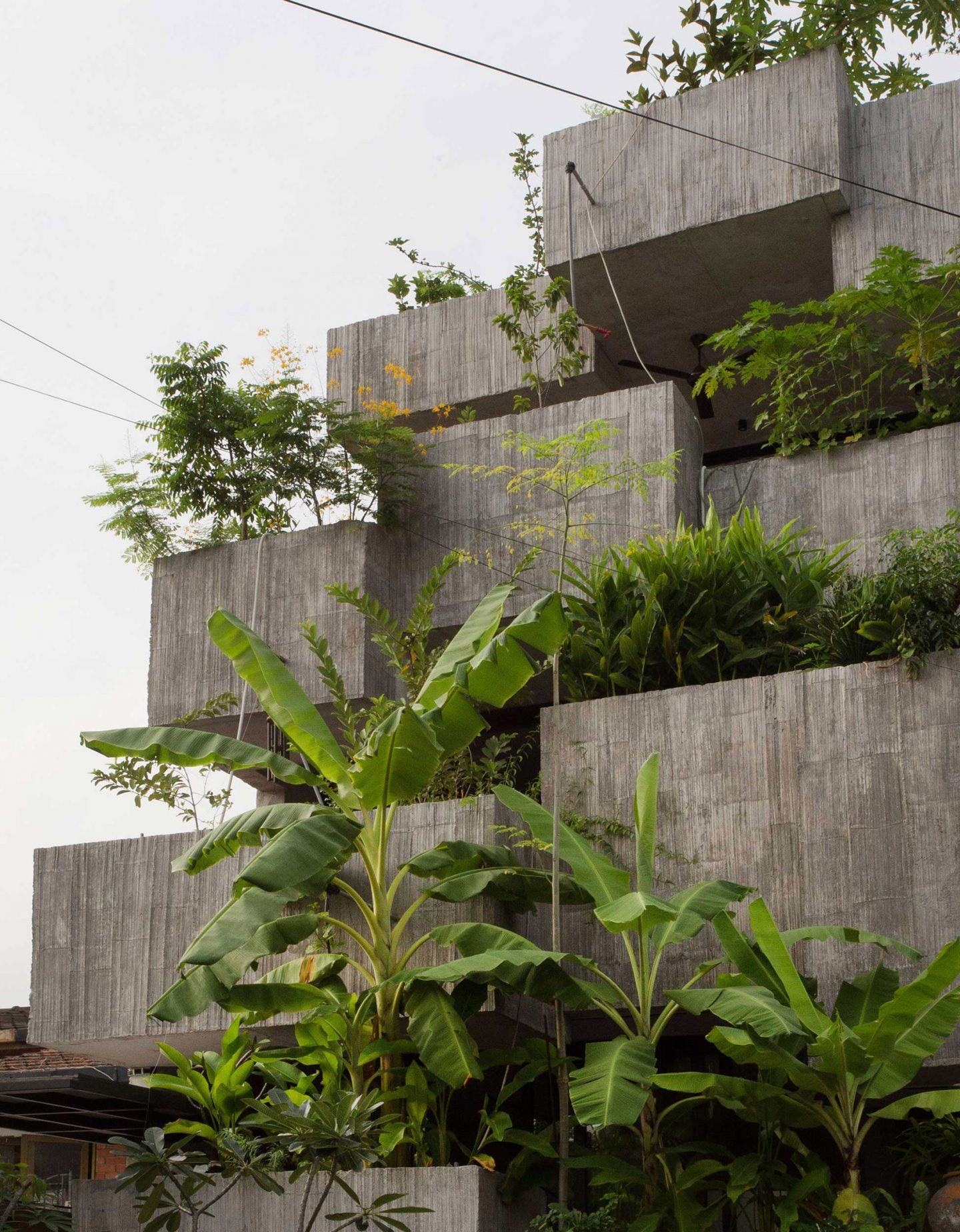 IGNANT-Architecture-Formzero-Planter-Box-House-001