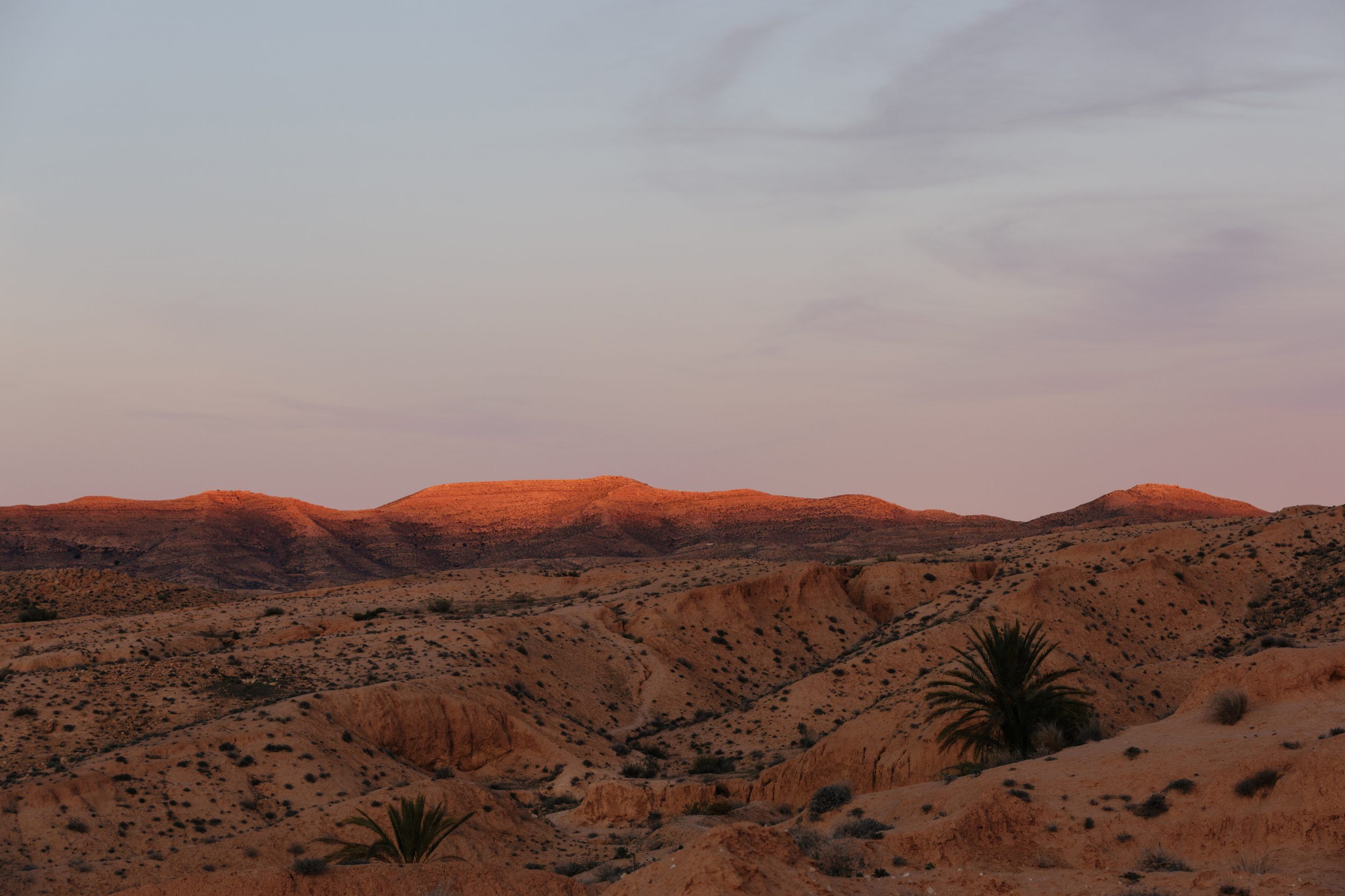 IGNANT-Photography-Denisova-Tunisia-10