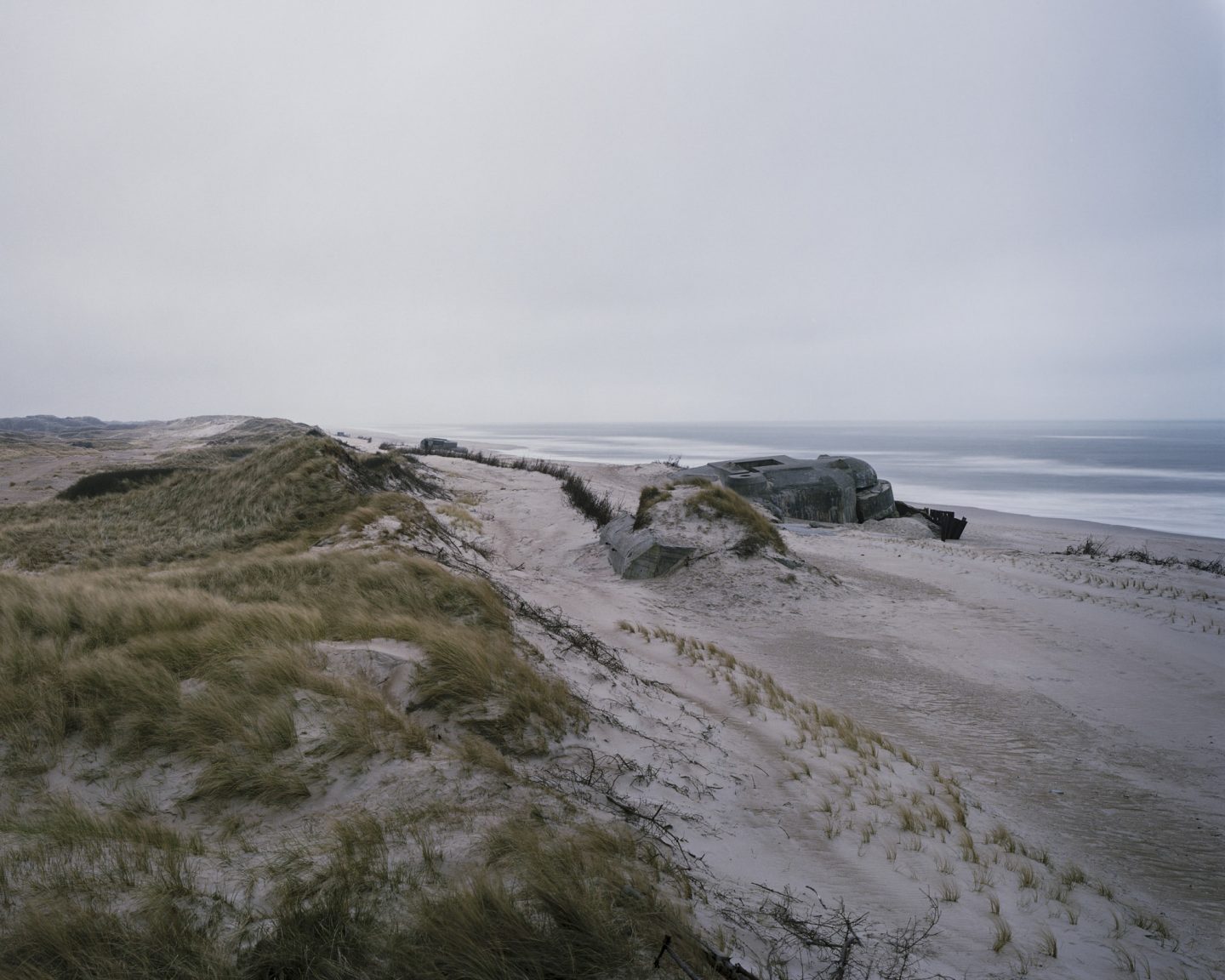 Houvig, Midtjylland, Denmark. 2014